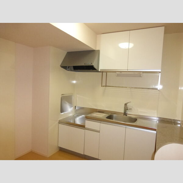 ニューランホープ キッチン