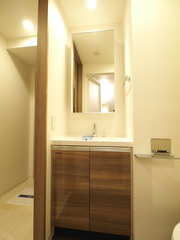 レジディア国立3階 洗面