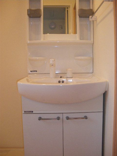 ソフィー武蔵野0203号室 洗面所