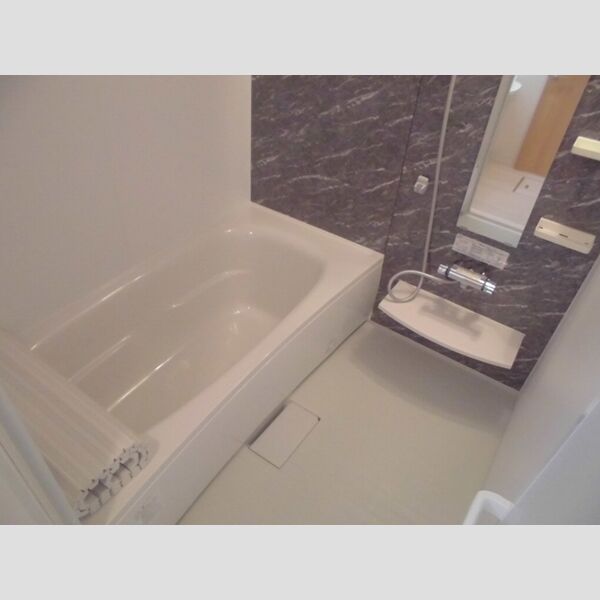 スターチア東金町 浴室