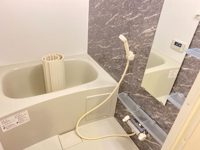 モデルナⅡ バス