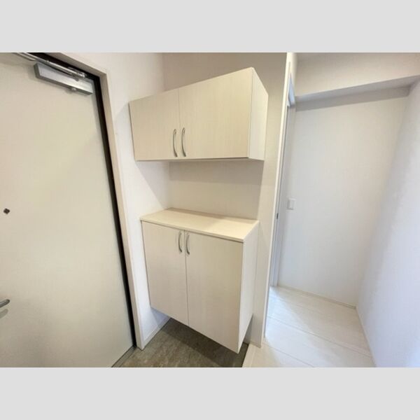 ロイジェントパークス レイクタウン Ⅱ　J 玄関