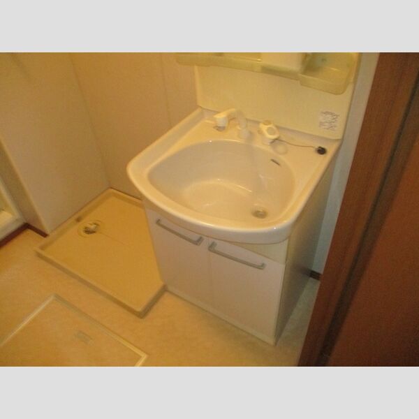 ロジュマン ミヤカイドウAB 洗髪洗面化粧台、室内洗濯機置場