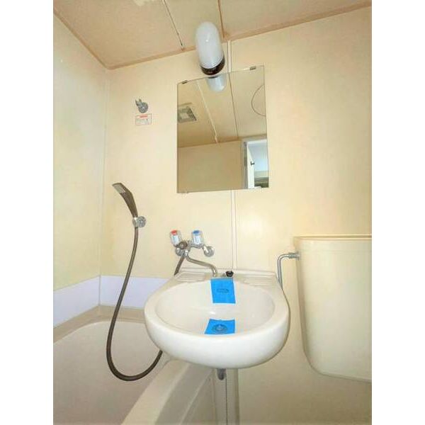 メゾン・ド・アエロスター0406号室 洗面