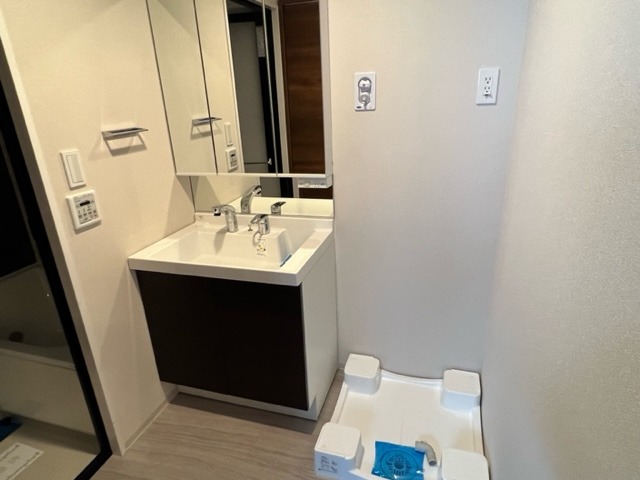 パラシオテルマス池上 洗面