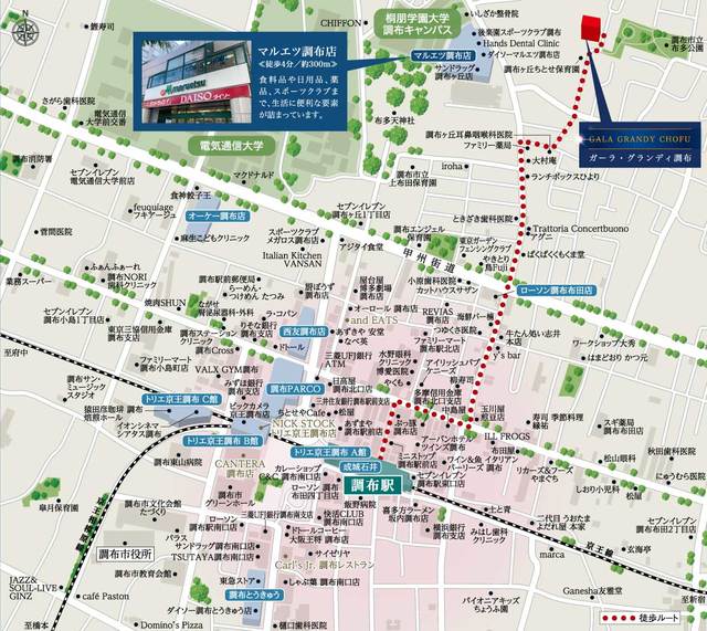 ガーラ・グランディ調布1階 null