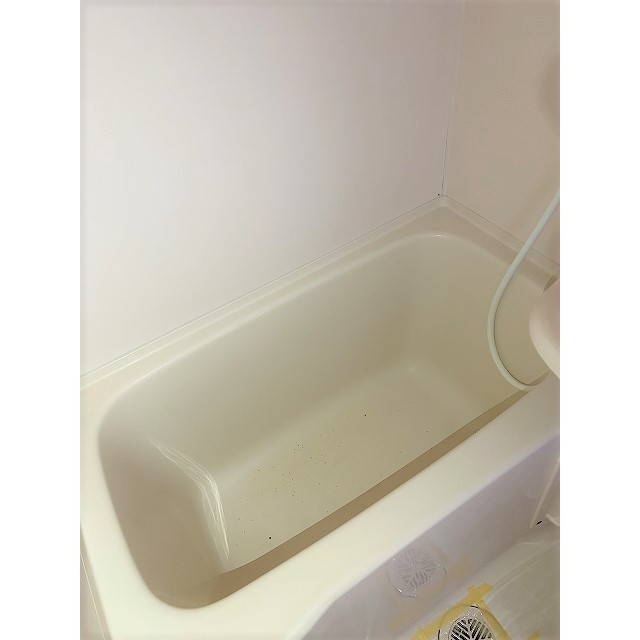 サン・ドミール0208号室 同建物別部屋の参考画像