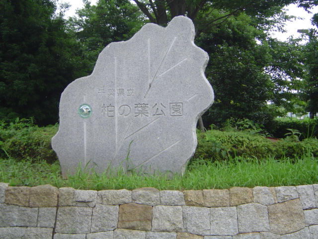 グランドメゾン 柏の葉公園まで1,400ｍ