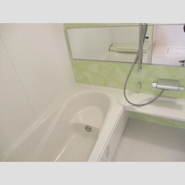 バードネイチャー　A棟203号室 E203(浴室)