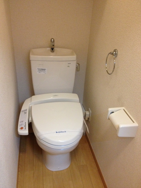 レオパレス新白岡304号室 部屋その他