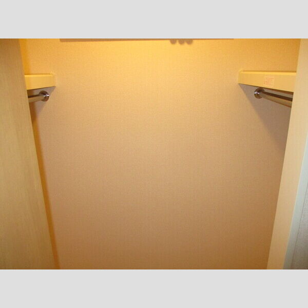 ロジュマン エスト 201(ウォークインクローゼット)