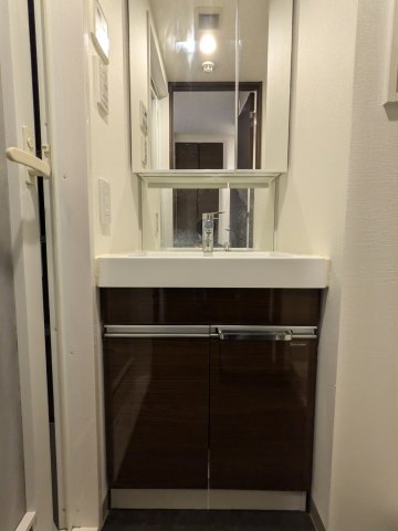 ケーディーエックスレジデンス豊洲504号室 洗面