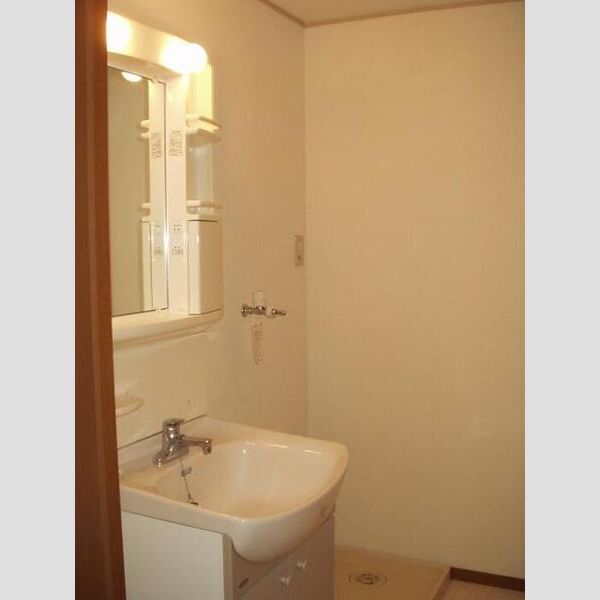 トリアード201号室 洗面