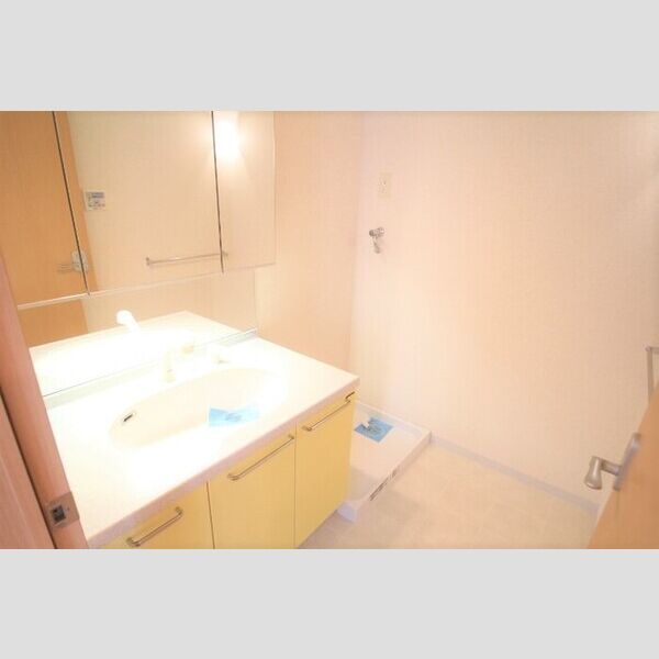 ロイヤルKJ906号室 洗面所