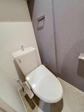 アイル グランデ川口211号室 トイレ