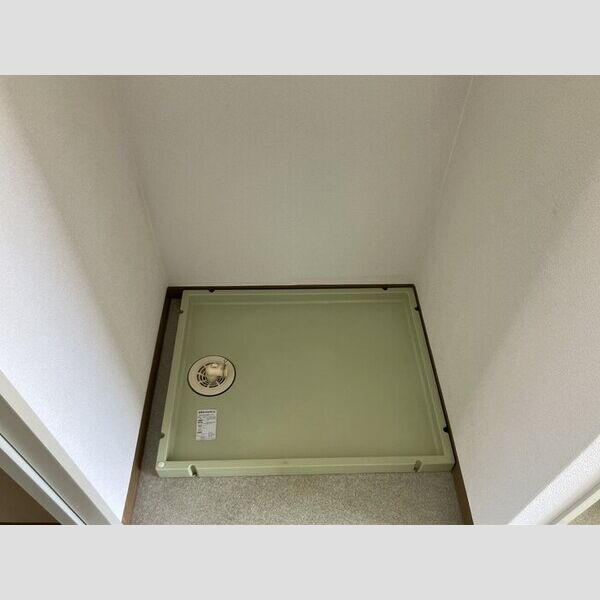 ハイムカメリア205号室 室内洗濯機置場