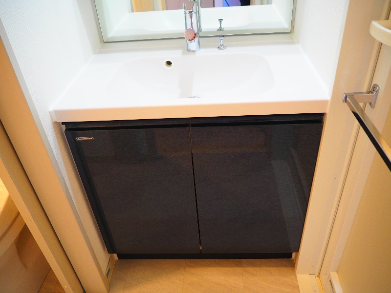 クレイシア新宿中落合8階 洗面