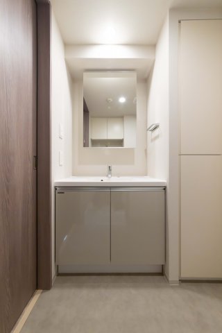 プラウドフラット品川大井町314号室 洗面