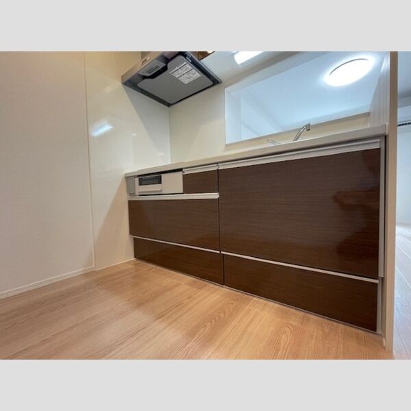 プルミエール新田 205号室　キッチン