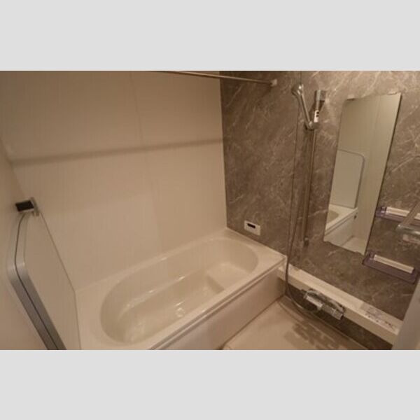 D-PRECIOUS武蔵野102号室 浴室