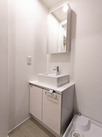 カサプレミア代田102号室 洗面