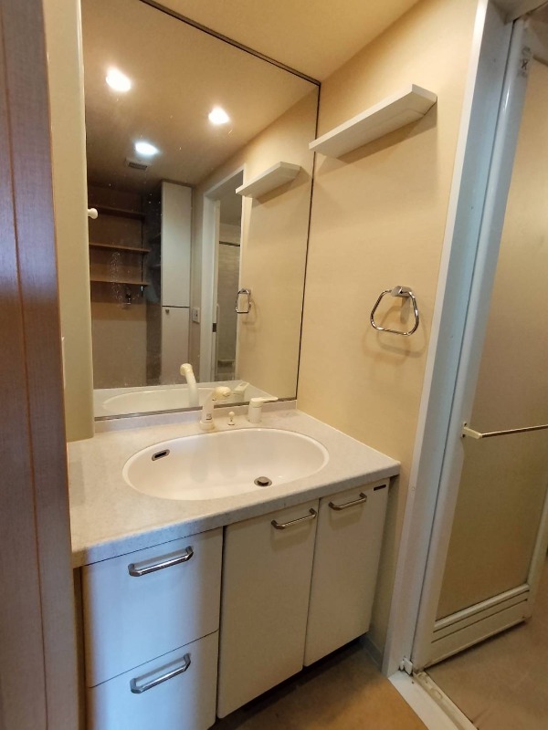 レーベンハイム新座ビフォード 洗面