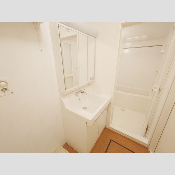 Biz STAY青梅新町303号室 洗髪洗面化粧台