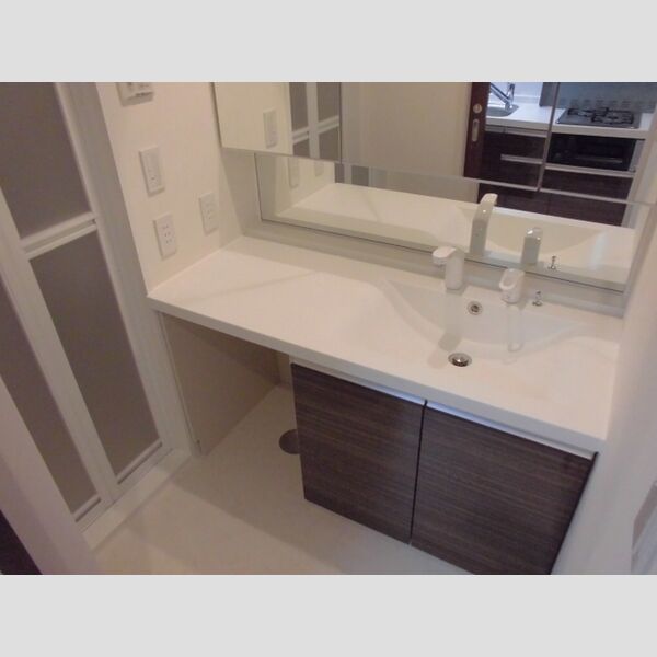 PLUM　VILLAGE209号室 洗面化粧台