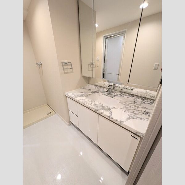 カスタリア高輪 洗面所