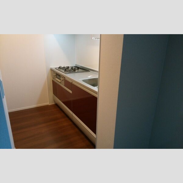 Carpe lux キッチン