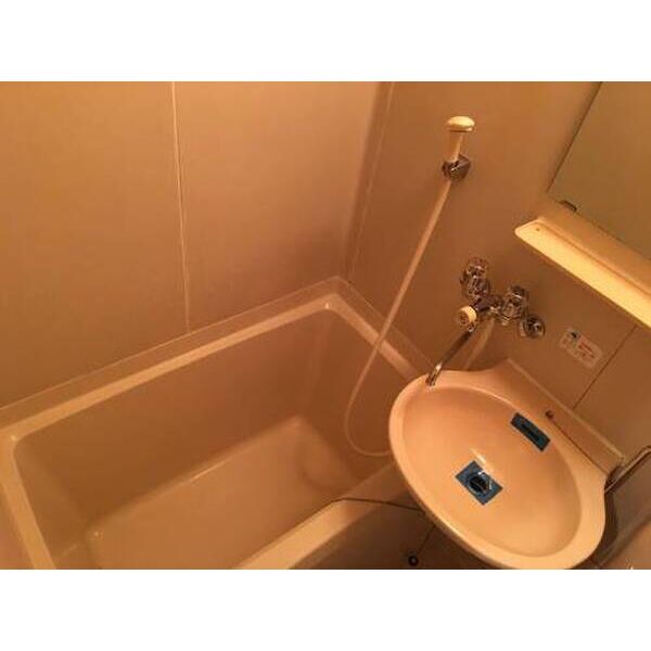 メゾン・ド・アンピール0207号室 お風呂