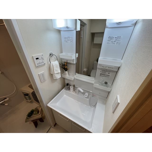 ウッディグレイス目黒洗足301号室 収納付き洗面台