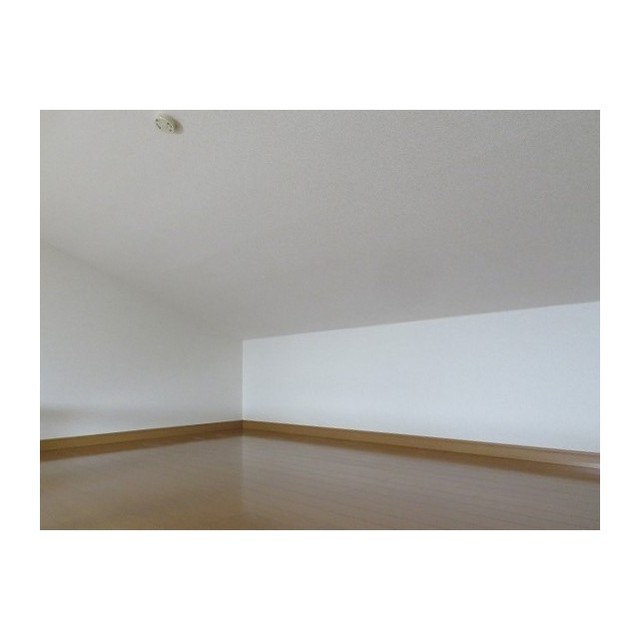 ハイツ中川0203号室 ロフト