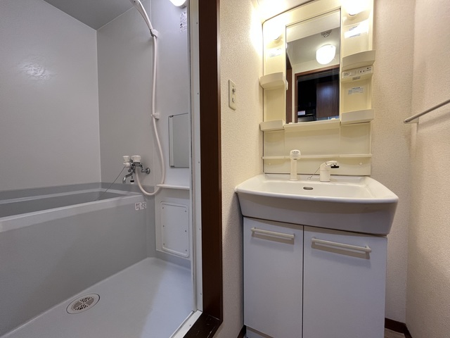 コゥジィーコート綱島0202号室 洗面