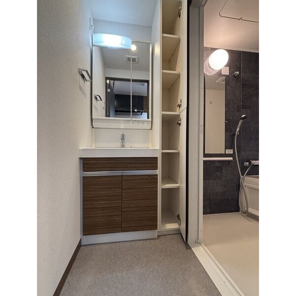 スプランディッド南千住702号室 洗面