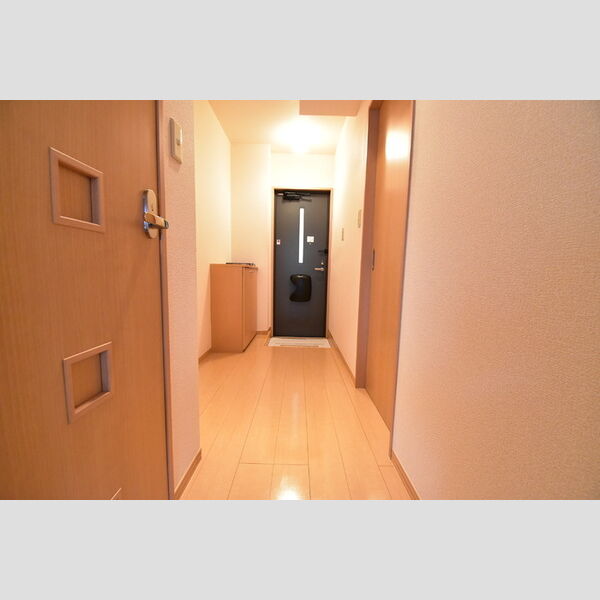 リビングタウン西寺方町211号室 室内廊下