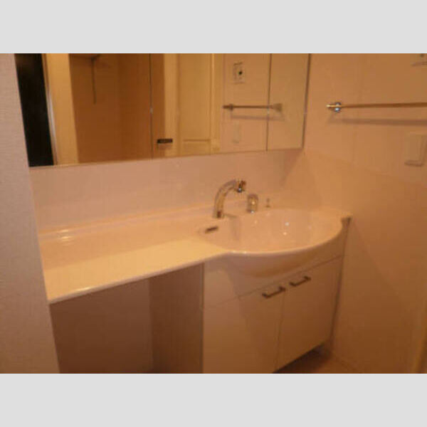 セピアパレス　A102号室 セピアパレスA102洗面所