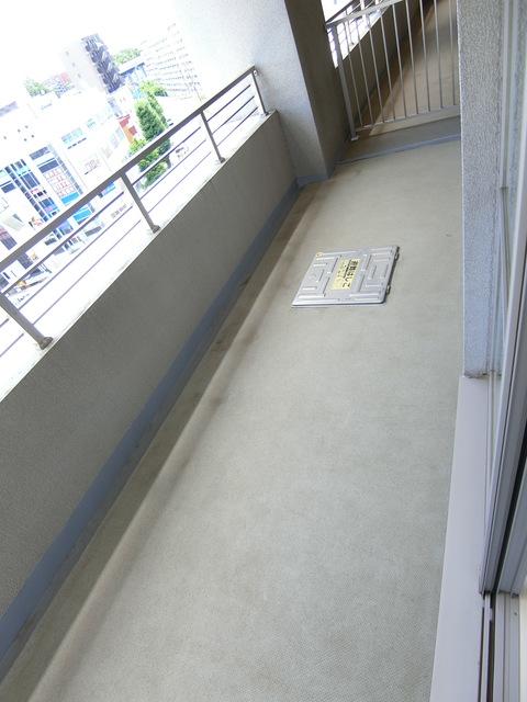 キャピタルノア日野0701号室 バルコニー