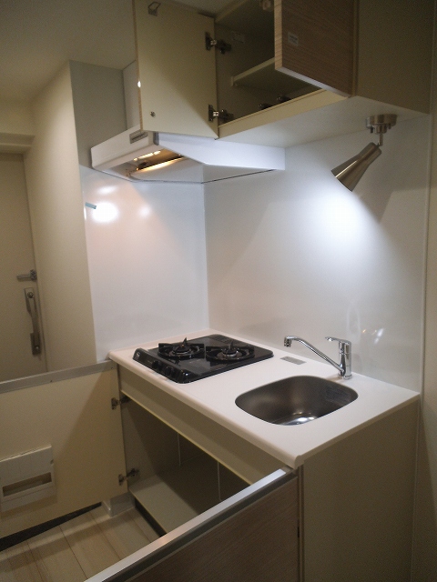 ラフィスタ川崎Ⅱ8階 同建物別部屋の参考画像