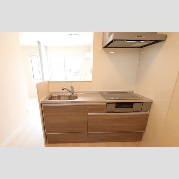 Le Ginkgo102号室 システムキッチン