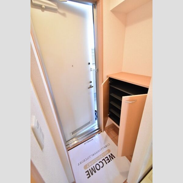 GEMINI　ONNA 備え付けのシューズボックス