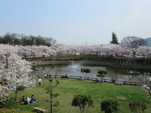 グランタワー府中ラ・アベニュー10階 【公園】府中公園まで746ｍ