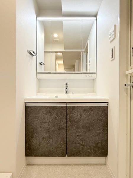 エレミ本蓮沼11階 洗面