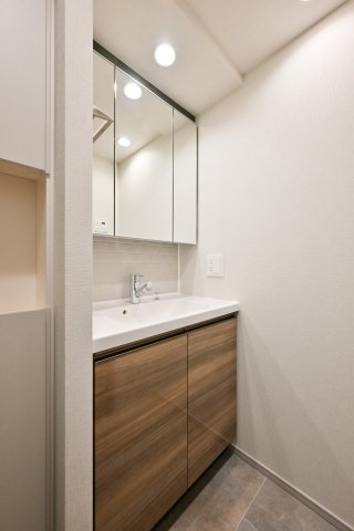 リビオメゾン西麻布501号室 内観
