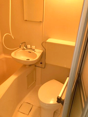 ファインライフ平塚302号室 洗面