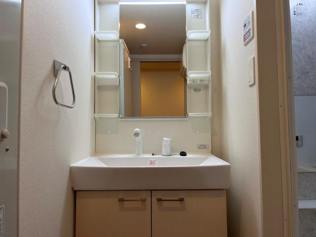 クレアトゥール　エスト　(Ｃｒｅａｔｅｕｒ　ｅｓｔ)205号室 洗面