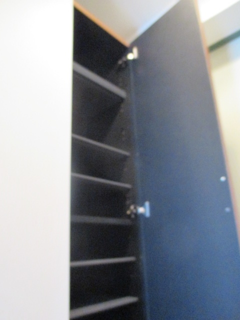 びゅうコート国府津0208号室 収納