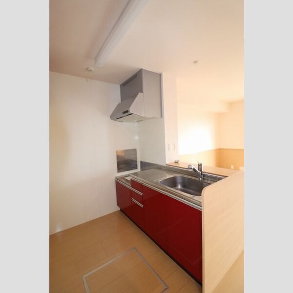 サニーモール　壱番館103号室 対面キッチン