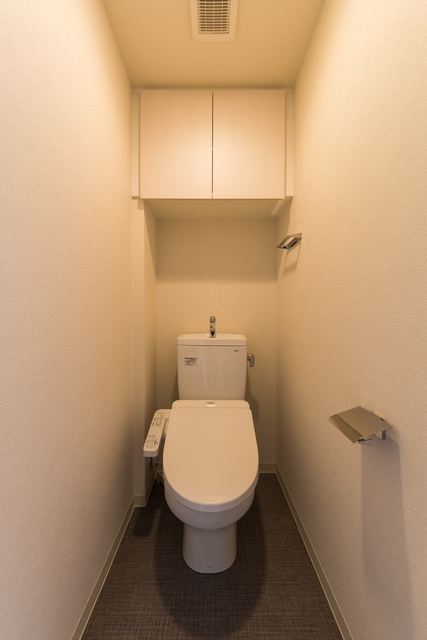 ディームス東陽町Ⅱ10階 同建物別部屋の参考画像