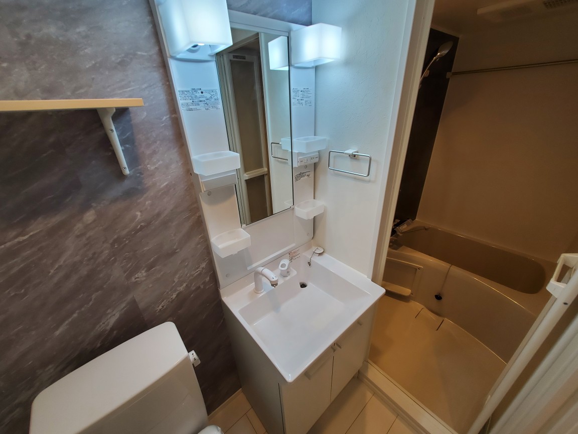 ＦＬＥＸＩＡ0203号室 洗面